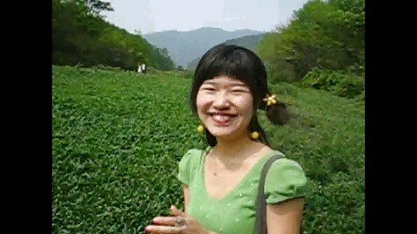 穿着性感紧身裤的华丽女士在狗的风格中被拥有